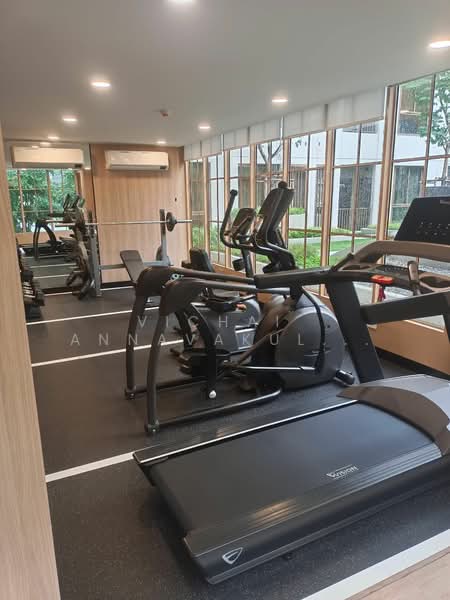 Quintara MHy’ZEN Phrom Phong, Bangkok, Khlong Tan Nua, Watthana, Bangkok, 1 Bedroom, 34 sqm, Condo For Rent, by Vichai Annavakulthorn, 500382245 - DDproperty.com
