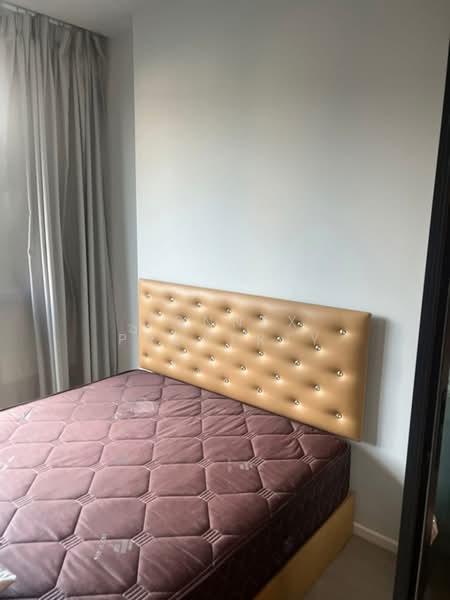 CIELA Sripatum, Bangkok, 2999 Phahonyothin Road, Lat Yao, Chatuchak, Bangkok, 1 Bedroom, 35 sqm, Condo For Rent, by Connex Property, 500382300 - DDproperty.com