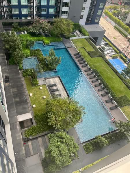 The Base Sukhumvit 77, Bangkok, 289 Sukhumvit 77 Road, Phra Kanong Nua, Watthana, Bangkok, 1 Bedroom, 30 sqm, Condo For Rent, by Praewpakar Soontawong, 500382322 - DDproperty.com