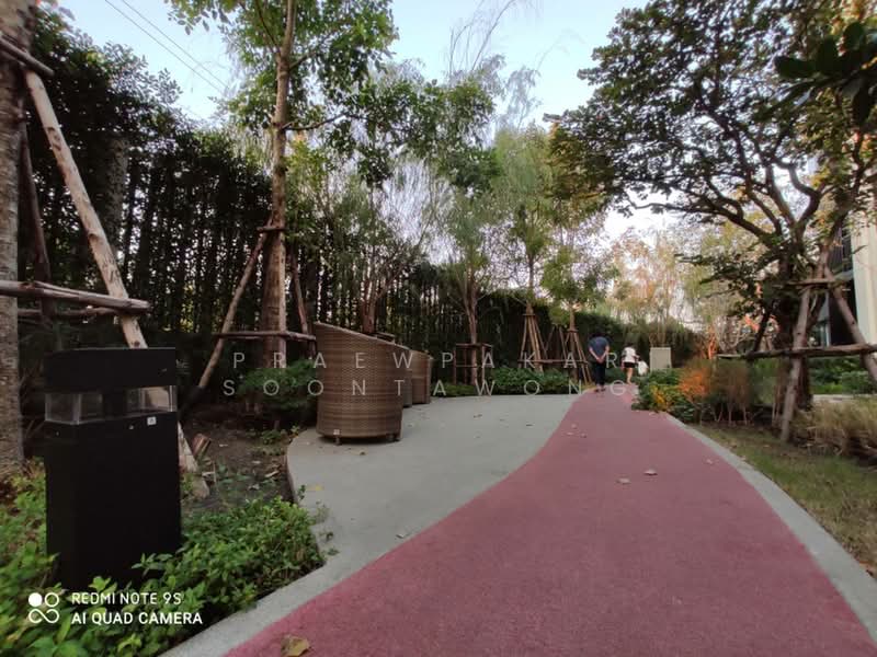 Aspire Sukhumvit-On Nut, Bangkok, Soi On Nut 21, Sukhumvit 77 Road, Suan Luang, Bangkok, 1 Bedroom, 31 sqm, Condo For Rent, by Praewpakar Soontawong, 500382359 - DDproperty.com