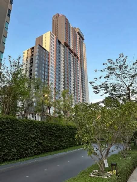 XT Huaikhwang, Bangkok, 244 Ratchadaphisek Road, Huai Khwang, Bangkok, 1 Bedroom, 31 sqm, Condo For Rent, by Jutarat Jitmun, 500382507 - DDproperty.com