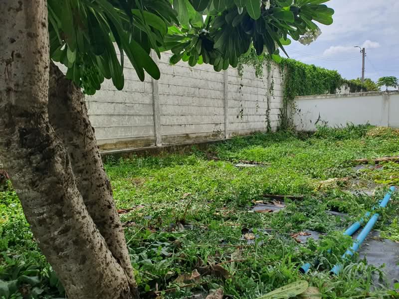 Town Plus X Ladprao, Bangkok, Khlong Chan, Bang Kapi, Bangkok, 3 Bedrooms, 201 sqm, Townhouse For Sale, by ศิริวรรณ เผือกใจแผ้ว, 500382619 - DDproperty.com