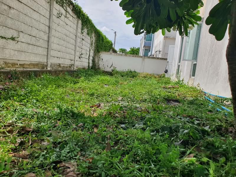 Town Plus X Ladprao, Bangkok, Khlong Chan, Bang Kapi, Bangkok, 3 Bedrooms, 201 sqm, Townhouse For Sale, by ศิริวรรณ เผือกใจแผ้ว, 500382619 - DDproperty.com