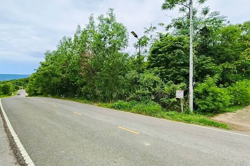 บ้านซับสำราญ ปากช่อง, Nakhon Ratchasima, Wang Kata, Pak Chong, Nakhon Ratchasima, , 24,668 sqm, Land For Sale, by ชนะชาติ นนท์ตา, 500382641 - DDproperty.com