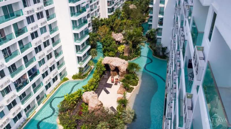 Amazon Residence Pattaya : อเมซอน เรสซิเดนซ์ พัทยา, ชลบุรี, ถนนบุณย์กัญจนา 5, หนองปรือ, บางละมุง, ชลบุรี, 35 ตร.ม., คอนโด ขาย, โดย พัช, 500382658 - DDproperty.com