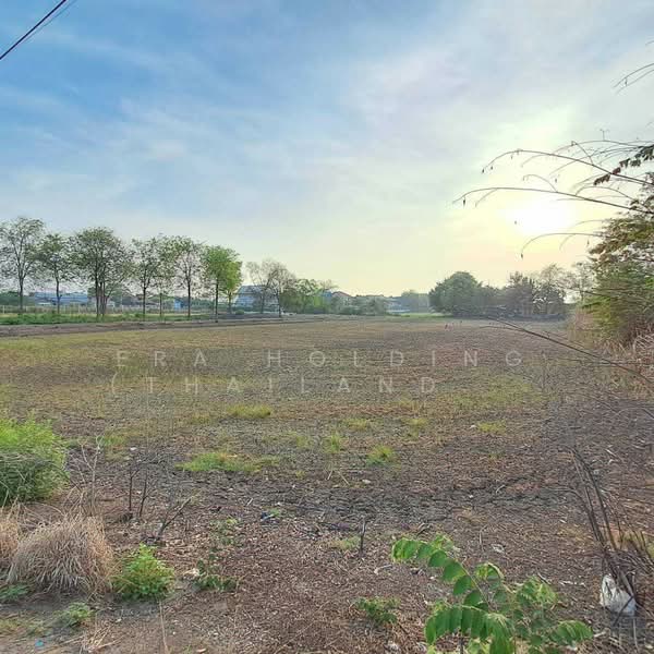 แปลงสวย 2-2-8ไร่ บางเลน, นครปฐม, Nakhon Pathom, Bang Len, Bang Len, Nakhon Pathom, , 4,032 sqm, Land For Sale, by ERA Holding (Thailand) Co., Ltd., 500382710 - DDproperty.com