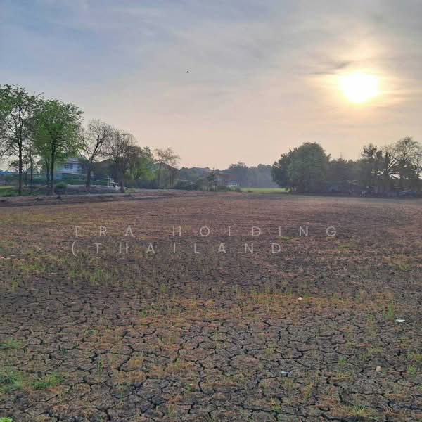 แปลงสวย 2-2-8ไร่ บางเลน, นครปฐม, Nakhon Pathom, Bang Len, Bang Len, Nakhon Pathom, , 4,032 sqm, Land For Sale, by ERA Holding (Thailand) Co., Ltd., 500382710 - DDproperty.com