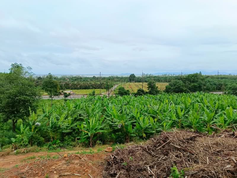 ที่ดินแหลมกลัด ตราด, Trat, Laem Klat, Muang Trat, Trat, , 15,548 sqm, Land For Sale, by The Best Property เบิ้ม, 500382763 - DDproperty.com