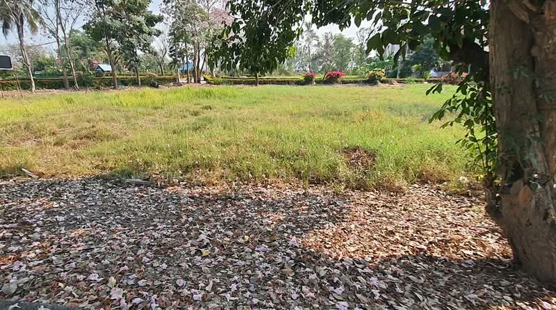 ที่ดินแปลงยาว ฉะเชิงเทรา, Chachoengsao, Hua Samrong, Plaeng Yao, Chachoengsao, , 1,504 sqm, Land For Sale, by The Best Property ต่อ, 500382769 - DDproperty.com