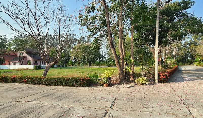 ที่ดินแปลงยาว ฉะเชิงเทรา, Chachoengsao, Hua Samrong, Plaeng Yao, Chachoengsao, , 1,504 sqm, Land For Sale, by The Best Property ต่อ, 500382769 - DDproperty.com