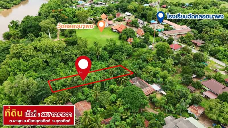 ที่ดินผาจุก อุตรดิตถ์, Uttaradit, Pha Chuk, Muang Uttaradit, Uttaradit, , 1,068 sqm, Land For Sale, by The Best Property น้อยหน่า, 500382814 - DDproperty.com
