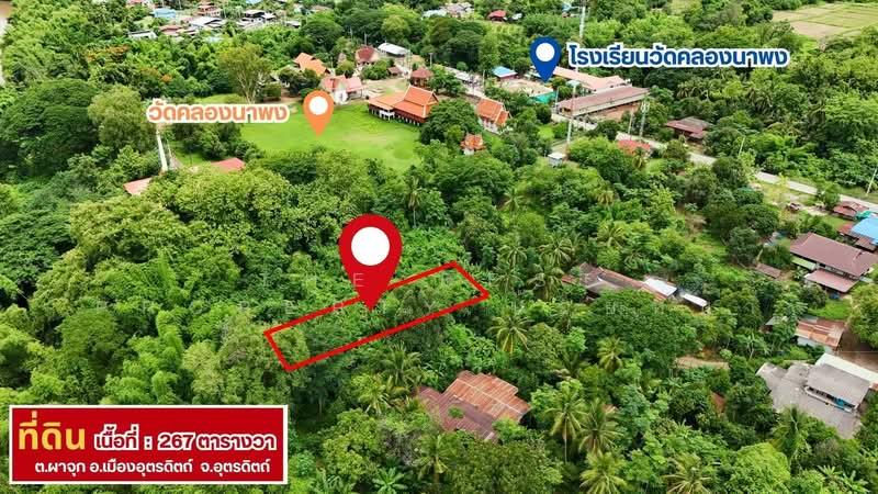 ที่ดินผาจุก อุตรดิตถ์, อุตรดิตถ์, ผาจุก, เมืองอุตรดิตถ์, อุตรดิตถ์, 1,068 ตร.ม., ที่ดิน ขาย, โดย The Best Property น้อยหน่า, 500382814 - DDproperty.com