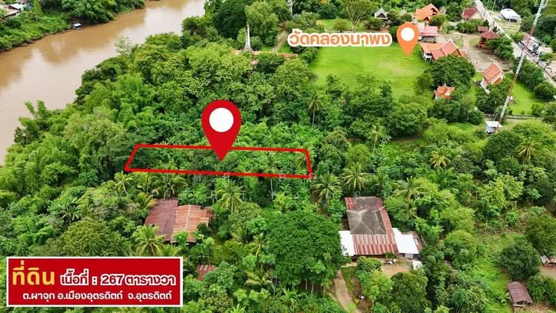 ที่ดินผาจุก อุตรดิตถ์, Uttaradit, Pha Chuk, Muang Uttaradit, Uttaradit, , 1,068 sqm, Land For Sale, by The Best Property น้อยหน่า, 500382814 - DDproperty.com