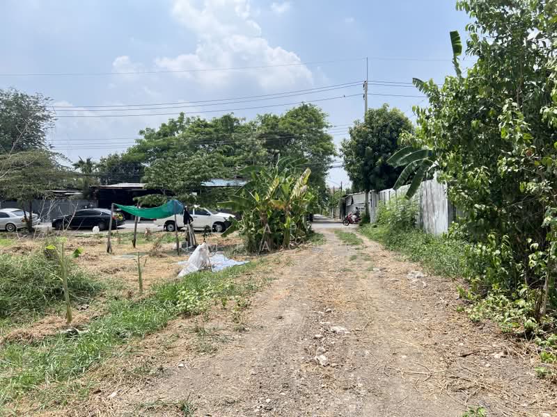 ขายด่วน❗ ที่ดินเปล่า เนื้อที่ 100 ตร.ว., ปทุมธานี, บ้านใหม่, เมืองปทุมธานี, ปทุมธานี, 400 ตร.ม., ที่ดิน ขาย, โดย Tadsapong Pimpachad, 500382838 - DDproperty.com