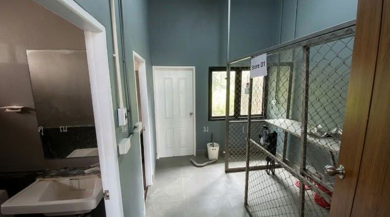 สนามกีฬา 5 ภาค, Nonthaburi, ราชพฤกษ์-ชัยพฤกษ์, Lam Pho, Bang Bua Thong, Nonthaburi, 1 Bedroom, 200 sqm, Single Detached House For Rent, by คุณ อัษธรรม ( อัษ ), 500382864 - DDproperty.com