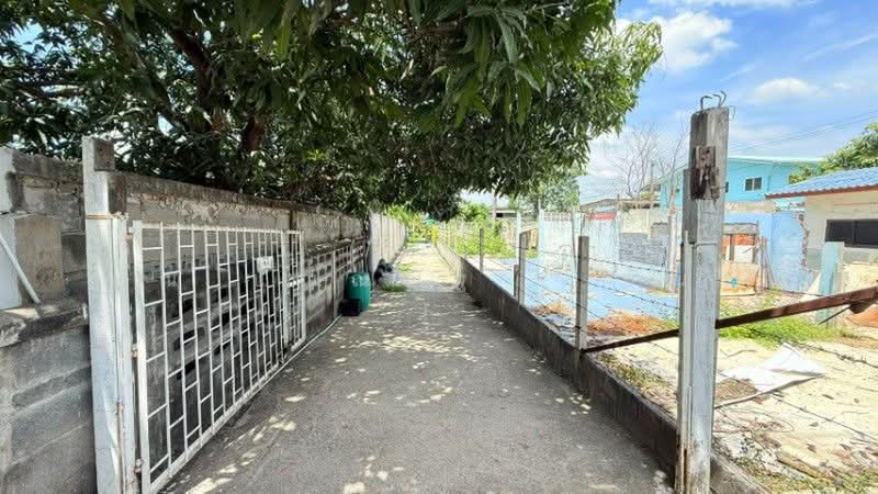 บ้านเดี่ยว 400 ตารางวา คลองหลวง คลองสี่, ปทุมธานี, ถนนคลองสี่, คลองสี่, คลองหลวง, ปทุมธานี, 114 ตร.ม., บ้านเดี่ยว ขาย, โดย คุณ ปัณณณัฐ ( ปัณณ์ ), 500382870 - DDproperty.com