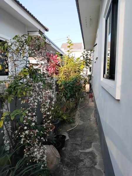 A house for rent near Lanna International School, Chiang Mai Rental Price:15,000THB/month No.14H1099, Chiang Mai, San Phak Wan, Hang Dong, Chiang Mai, 3 Bedrooms, 110 sqm, Single Detached House For Rent, by Baandeedee Chiangmai, 500382879 - DDproperty.com