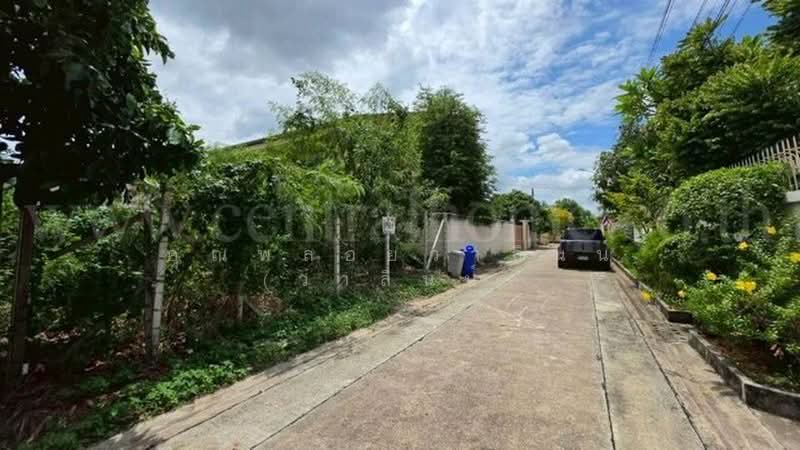 หมู่บ้านเศรษฐกิจ, Bangkok, เพชรเกษม, Lak Song, Bang Khae, Bangkok, , 320 sqm, Land For Sale, by คุณพลอยวาลินน์ (วาลินน์), 500382885 - DDproperty.com