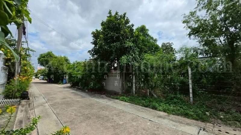 หมู่บ้านเศรษฐกิจ, Bangkok, เพชรเกษม, Lak Song, Bang Khae, Bangkok, , 320 sqm, Land For Sale, by คุณพลอยวาลินน์ (วาลินน์), 500382885 - DDproperty.com