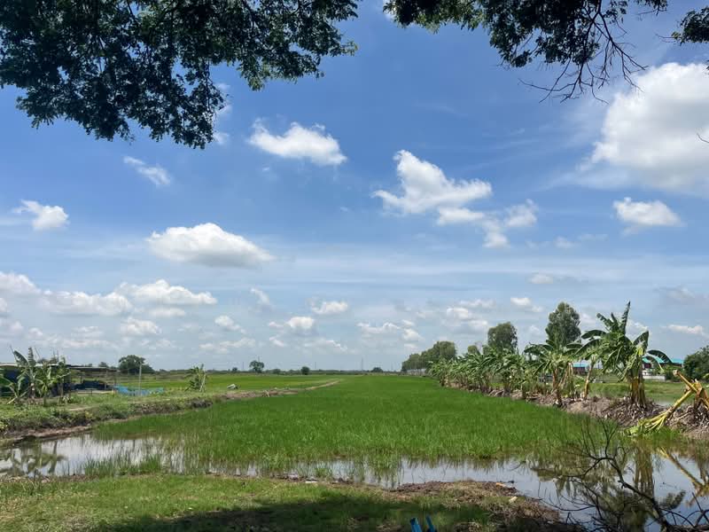 ข้าวงาม, Phra Nakhon Si Ayutthaya, Khao Ngam, Wang Noi, Phra Nakhon Si Ayutthaya, , 32,000 sqm, Land For Sale, by พรรณ์เกษร ทองชู, 500382892 - DDproperty.com