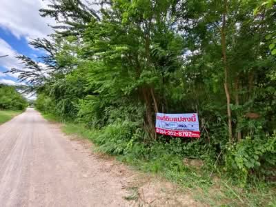 ขาย - ขาย ที่ดินเปล่าทำเลดี 142 ตร.ว. ต.บ้านเลือก อ.โพธาราม, ราชบุรี
