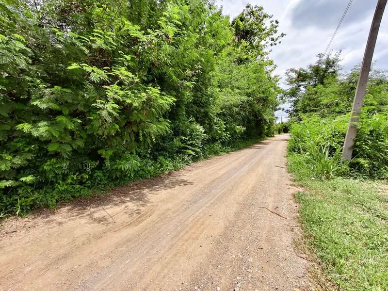 ขาย ที่ดินเปล่าทำเลดี 142 ตร.ว. ต.บ้านเลือก อ.โพธาราม, Ratchaburi, Don Krabuang, Photharam, Ratchaburi, , 568 sqm, Land For Sale, by ชญาพิชชา พันธกิจ, 500382895 - DDproperty.com