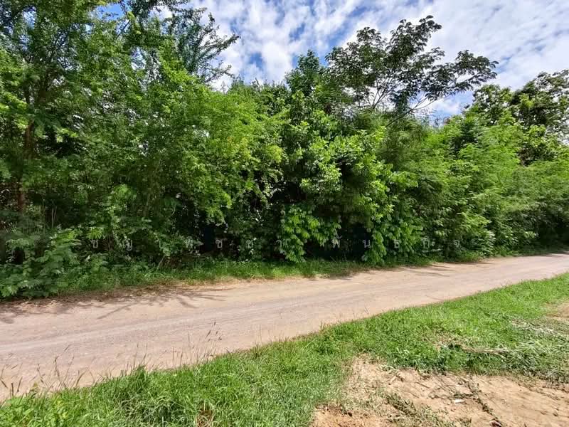 ขาย ที่ดินเปล่าทำเลดี 142 ตร.ว. ต.บ้านเลือก อ.โพธาราม, Ratchaburi, Don Krabuang, Photharam, Ratchaburi, , 568 sqm, Land For Sale, by ชญาพิชชา พันธกิจ, 500382895 - DDproperty.com