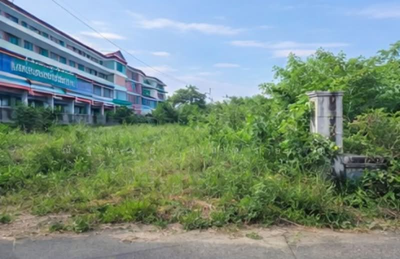 ไม่พบโครงการ, Bangkok, เพชรเกษม บางบอน เอกชัย กัลปพฤกษ์, Nong Kham, Nong Khaem, Bangkok, , 28,480 sqm, Land For Rent, by ณัฐพงศ์ สุนทรอรุณ, 500382963 - DDproperty.com