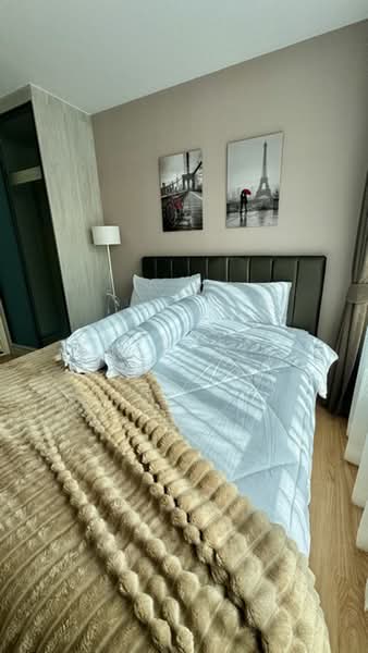 Atmoz Kanaal Rangsit, Pathum Thani, Rangsit Pathum Thani Road, Bang Phun, Muang Pathum Thani, Pathum Thani, 1 Bedroom, 29 sqm, Condo For Rent, by Connex Property, 500383085 - DDproperty.com