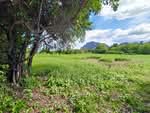 ที่ดินชะอำ เพชรบุรี, เพชรบุรี
