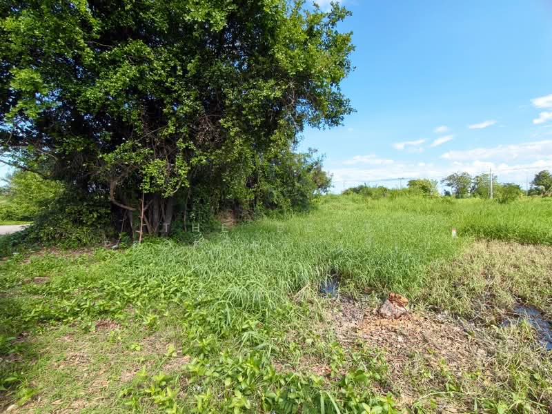 ที่ดินชะอำ เพชรบุรี, Phetchaburi, Cha-am, Cha-Am, Phetchaburi, , 304 sqm, Land For Sale, by The Best Propertyเจี๊ยบ, 500383090 - DDproperty.com