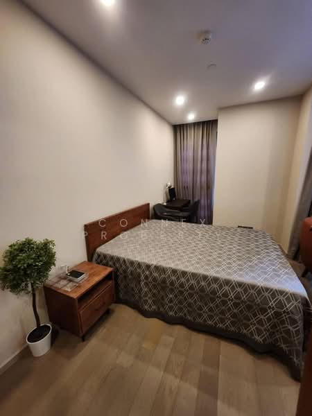 ASHTON Asoke, Bangkok, 131 Asoke Montri Road, Khlongtoei Nua, Watthana, Bangkok, 1 Bedroom, 34 sqm, Condo For Rent, by Connex Property, 500383152 - DDproperty.com