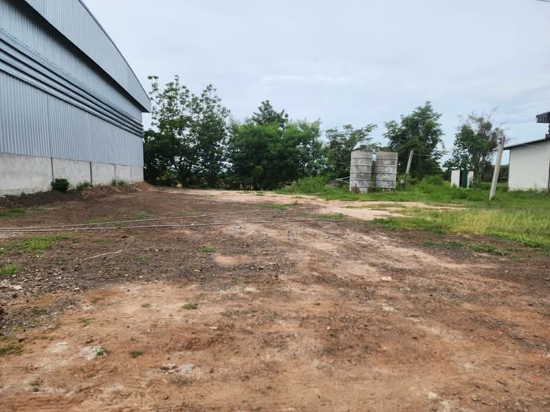 เช่าโกดังติถถนนเมนหลัก เส้น 304, Nakhon Ratchasima, Thong Chai Nua, Pak Thong Chai, Nakhon Ratchasima, , 1,250 sqm, Warehouse/Factory For Rent, by วิรณี, 500383163 - DDproperty.com