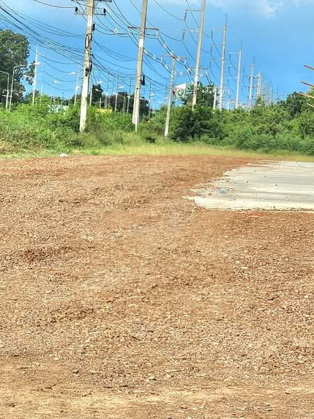 เช่าโกดังติถถนนเมนหลัก เส้น 304, Nakhon Ratchasima, Thong Chai Nua, Pak Thong Chai, Nakhon Ratchasima, , 1,250 sqm, Warehouse/Factory For Rent, by วิรณี, 500383163 - DDproperty.com