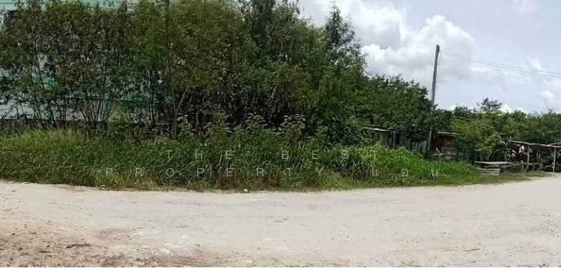 ที่ดินพานทอง ชลบุรี, Chon Buri (Pattaya), Map Pong, Phan Thong, Chon Buri (Pattaya), , 7,756 sqm, Land For Sale, by The Best Property แอน, 500383199 - DDproperty.com