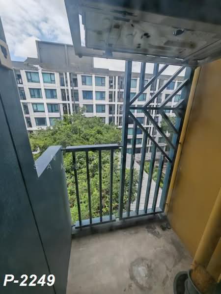 The Base Sukhumvit 50, Bangkok, Soi Roem Charoen 1, Sukhumvit 50 Road, Phra Kanong, Khlong Toei, Bangkok, 1 Bedroom, 25 sqm, Condo For Rent, by Nichaphat Sakunchayapha, 500383206 - DDproperty.com