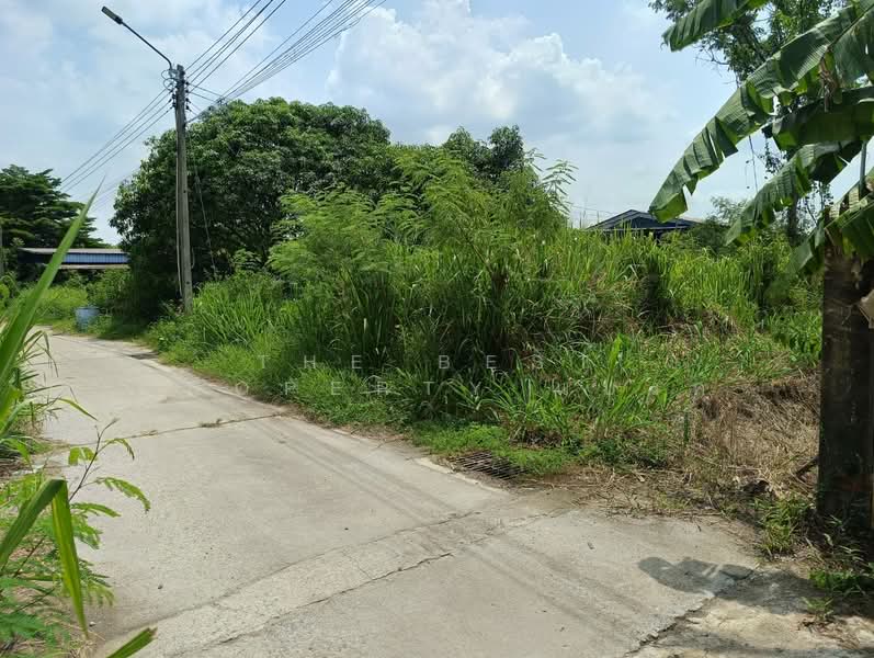 ที่ดินพานทอง ชลบุรี, Chon Buri (Pattaya), Map Pong, Phan Thong, Chon Buri (Pattaya), , 484 sqm, Land For Sale, by The Best Property แบงค์, 500383214 - DDproperty.com