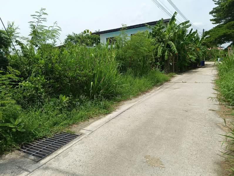 ที่ดินพานทอง ชลบุรี, Chon Buri (Pattaya), Map Pong, Phan Thong, Chon Buri (Pattaya), , 484 sqm, Land For Sale, by The Best Property แบงค์, 500383214 - DDproperty.com