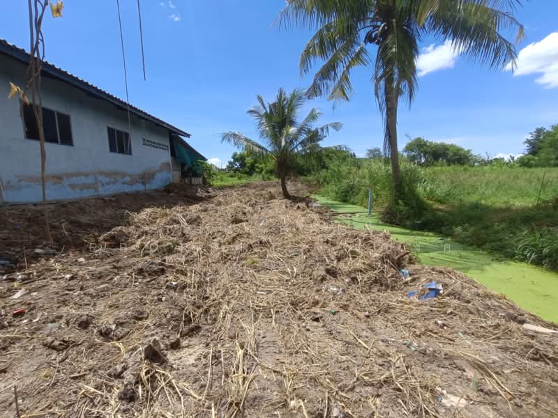 ที่ดินพานทอง ชลบุรี, Chon Buri (Pattaya), Map Pong, Phan Thong, Chon Buri (Pattaya), , 484 sqm, Land For Sale, by The Best Property แบงค์, 500383214 - DDproperty.com