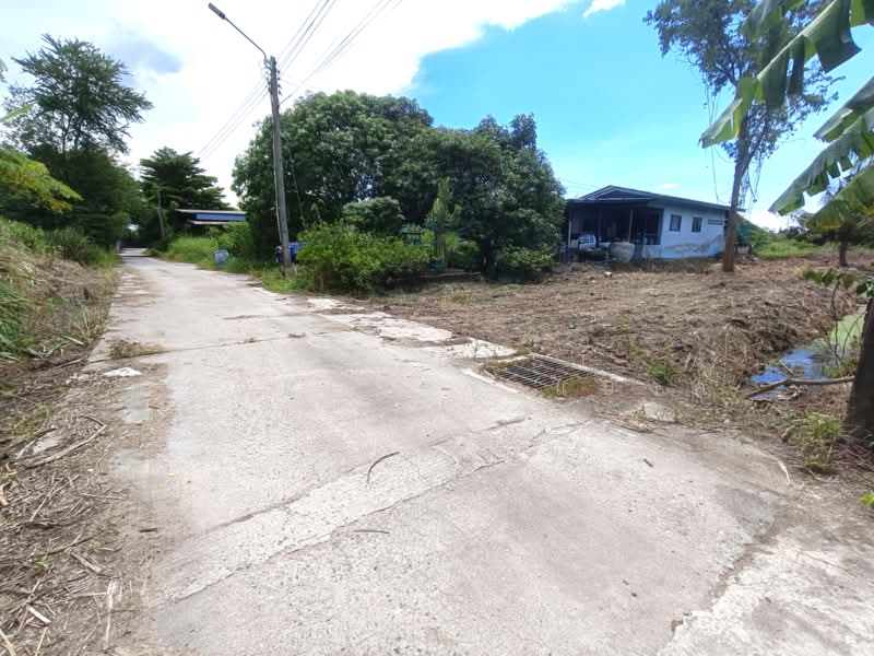 ที่ดินพานทอง ชลบุรี, Chon Buri (Pattaya), Map Pong, Phan Thong, Chon Buri (Pattaya), , 484 sqm, Land For Sale, by The Best Property แบงค์, 500383214 - DDproperty.com