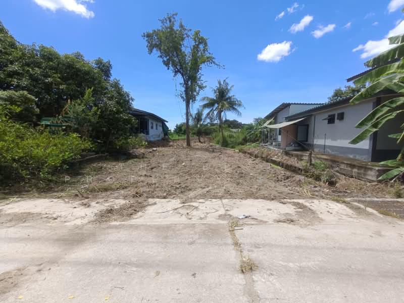 ที่ดินพานทอง ชลบุรี, Chon Buri (Pattaya), Map Pong, Phan Thong, Chon Buri (Pattaya), , 484 sqm, Land For Sale, by The Best Property แบงค์, 500383214 - DDproperty.com