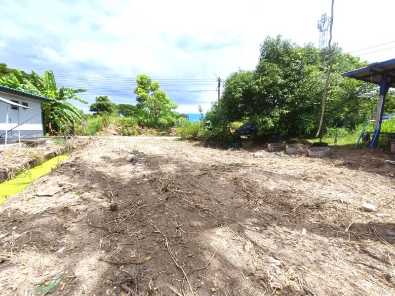 ที่ดินพานทอง ชลบุรี, Chon Buri (Pattaya), Map Pong, Phan Thong, Chon Buri (Pattaya), , 484 sqm, Land For Sale, by The Best Property แบงค์, 500383214 - DDproperty.com