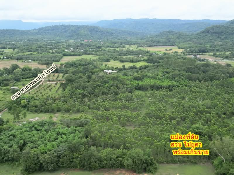 ขายที่ดินเปล่า วิวภูเขา ต.หนองแสง อ.ปากพลี จ.นครนายก ทำเลธรรมชาติ บรรยากาศดี, Nakhon Nayok, Nong Saeng, Pak Phli, Nakhon Nayok, , 64,396 sqm, Land For Sale, by นายมานพ วุฒฒเจริญ, 500383246 - DDproperty.com