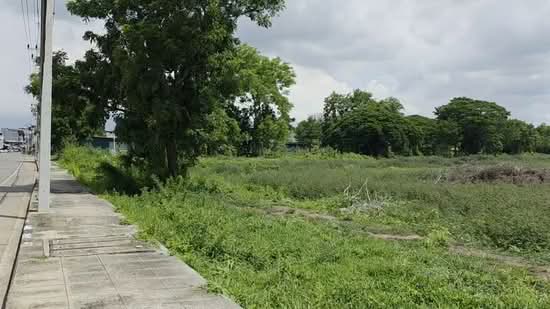 ขายที่ดิน 18 ไร่เศษ ใจกลางพนมสารคาม ผังสีส้ม(ม.6) ติดถนน 2 ด้าน ทำโครงการได้, ฉะเชิงเทรา, ท่าเกวียน, พนมสารคาม, ฉะเชิงเทรา, 29,404 ตร.ม., ที่ดิน ขาย, โดย ยรรยง ลิ้มสุวรรณ, 500383358 - DDproperty.com