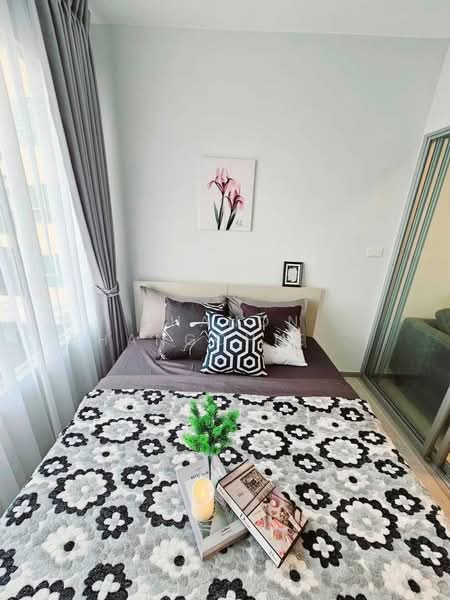 Plum Condo Sukhumvit 62, Bangkok, Sukhumvit 62, Bang Chak, Phra Khanong, Bangkok, 1 Bedroom, 29 sqm, Condo For Rent, by Chanon Phangchienghien, 500383398 - DDproperty.com