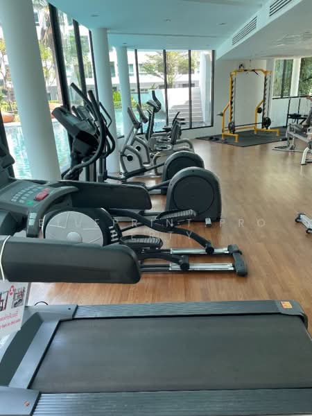 Elio Del Ray, Bangkok, 95 Sukhumvit 64 Road, Bang Chak, Phra Khanong, Bangkok, 1 Bedroom, 34 sqm, Condo For Rent, by Blueprint.property, 500383459 - DDproperty.com