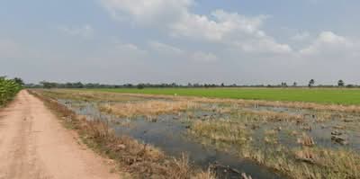 ขาย - ขายที่ดินลำต้อยติ่ง หนองจอก กรุงเทพฯ 3 ไร่ ที่นา ผังเมืองสีเขียว, กรุงเทพ