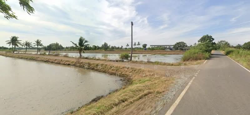 Land for Sale in Lam Toi Ting, Nong Chok, Bangkok 3 Rai | Green Zoning, Bangkok, Lam Toi Ting, Nong Chok, Bangkok, , 4,800 sqm, Land For Sale, by คุณแนน, 500383545 - DDproperty.com