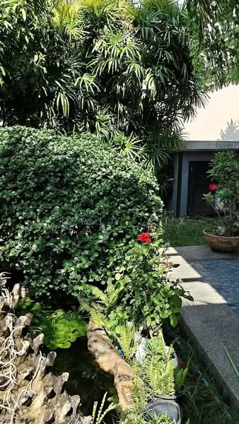 J.W.Grand Tara (Samwa - Minburi), กรุงเทพ, มีนบุรี, กรุงเทพ, 250 ตร.ม., บ้านเดี่ยว ให้เช่า, โดย Forty-Six Real Estate Group, 500383575 - DDproperty.com