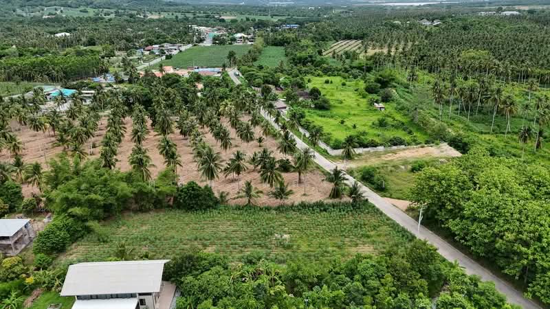 ขายที่ดินวิวภูเขา 1.5 ไร่ ธรรมชาติมาก โค้งดารา ศรีราชา, Chon Buri (Pattaya), Surasak, Si Racha, Chon Buri (Pattaya), , 2,400 sqm, Land For Sale, by Dusit Saengfa, 500383595 - DDproperty.com